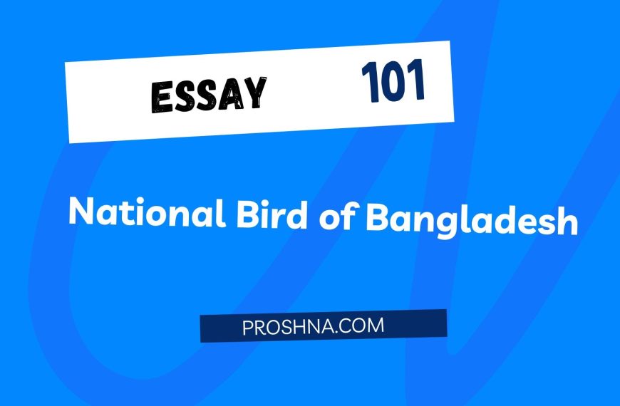 Essay: National Bird of Bangladesh