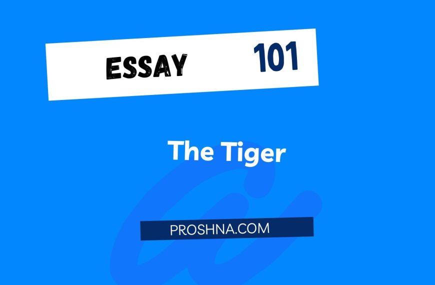 Essay: The Tiger