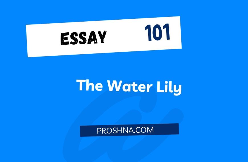 Essay: The Water Lily