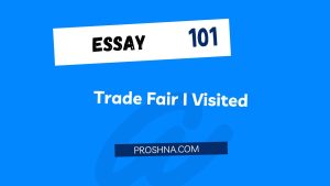 Essay: Trade Fair I Visited