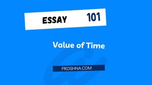 Essay: Value of Time