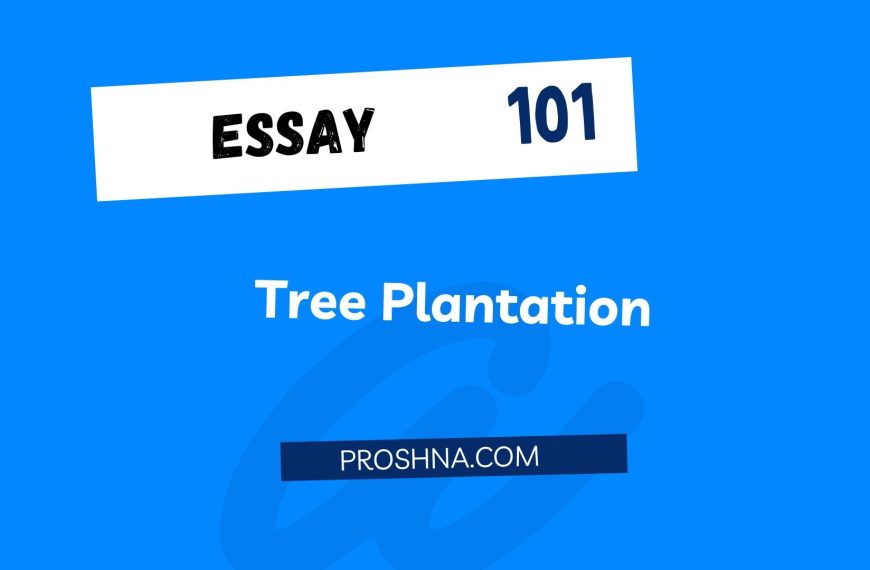 Essay: Tree Plantation